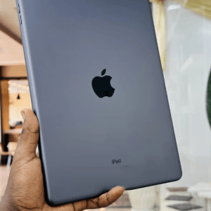 Apple iPad 10.2 (2021) 256 GB Gray