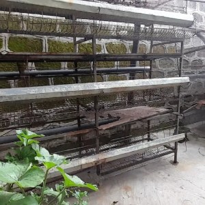 Chicken Cage የዶሮ ቤት