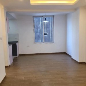 Furnished 1bdrm Apartment in Ayat Share Company, Kirkos for sale