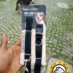 Lead and Collar Both
