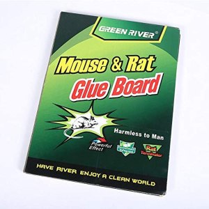 Mouse and Rat Glue Bord