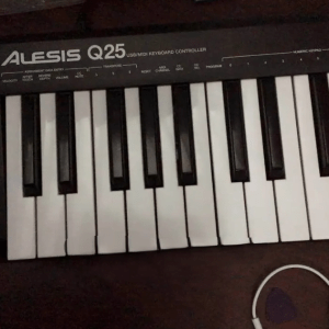 Alesis Q25 Usb/Midi Controller