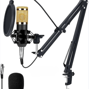 Condenser Microphone BM-800