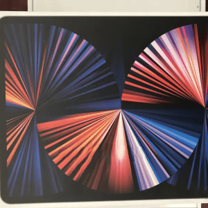 New Apple iPad Pro 12.9 (2021) 256 GB Gray